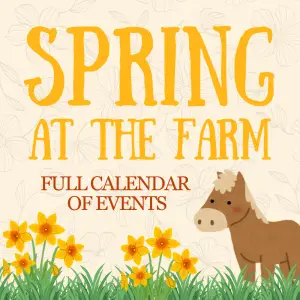 Spring at the Farm Battlers Green Farm Radlett, Hertfordshire