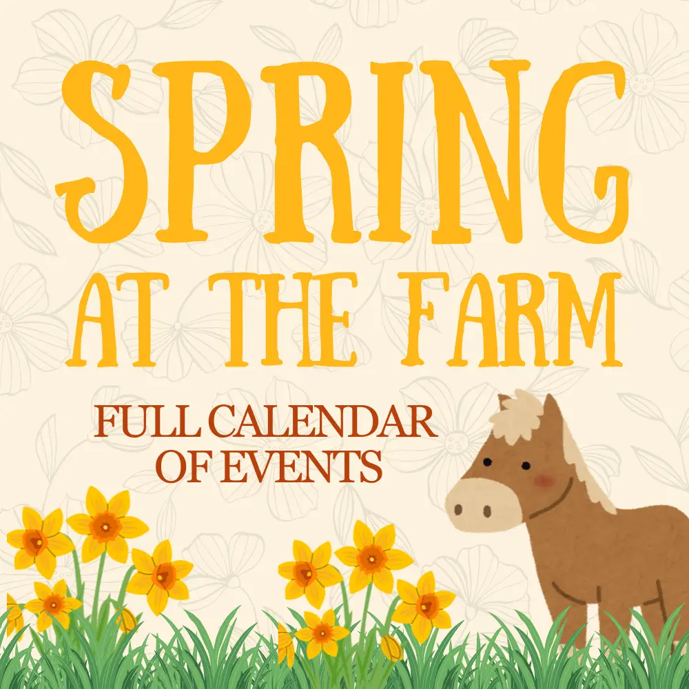 Spring at the Farm