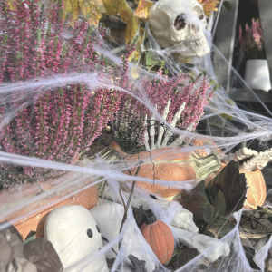 battlers green farm what's happening in october 9