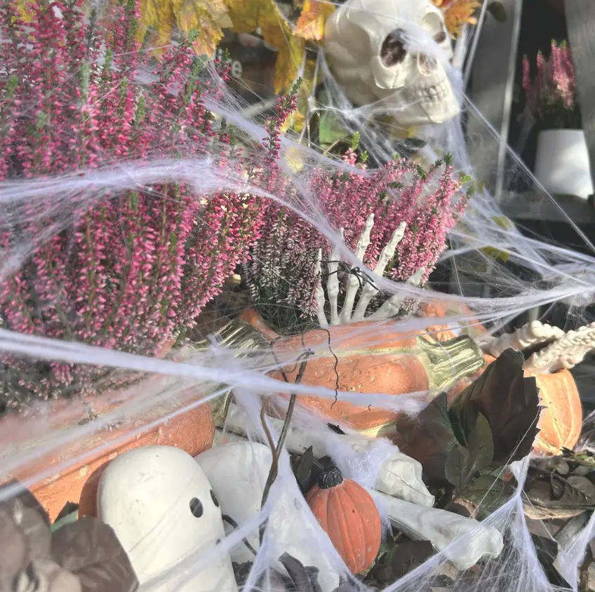 October at the Farm